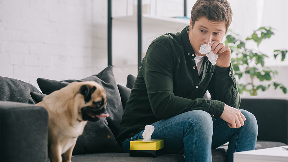 Installing an air purifier is one of the best ways to improve your home’s indoor air quality. Learn more about the three smartest products. 